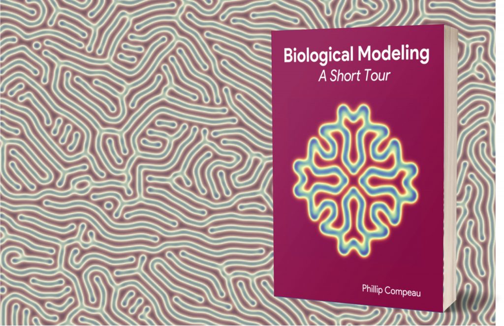 Biological Modeling: A Short Tour, the print companion of the Biological Modeling project